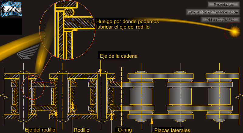 Secci�n cadena de transmisi�n